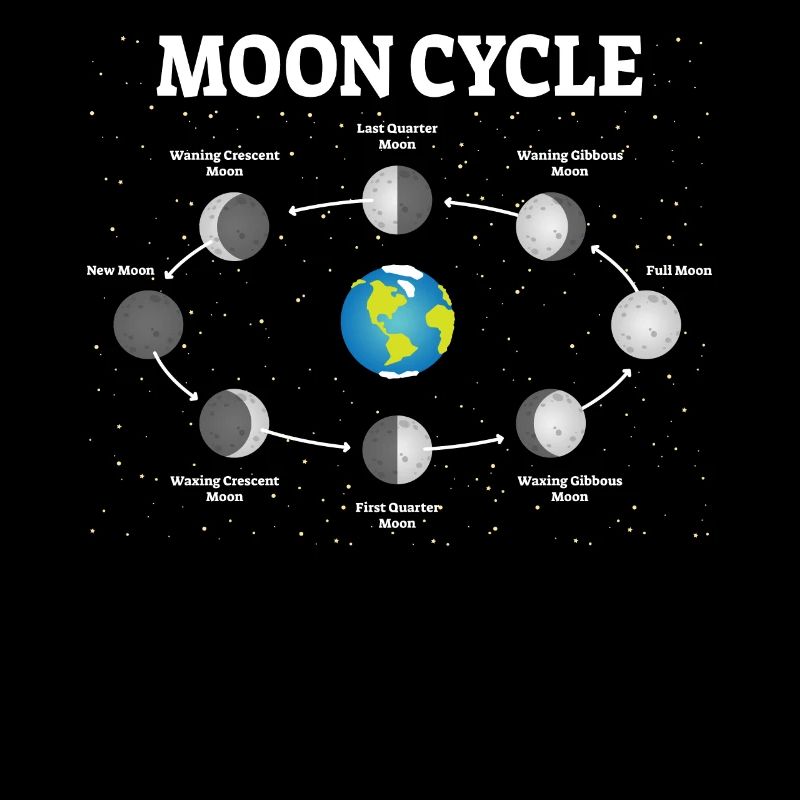 Moon Phases Moon Phases Moon Full Moon Astronomy
