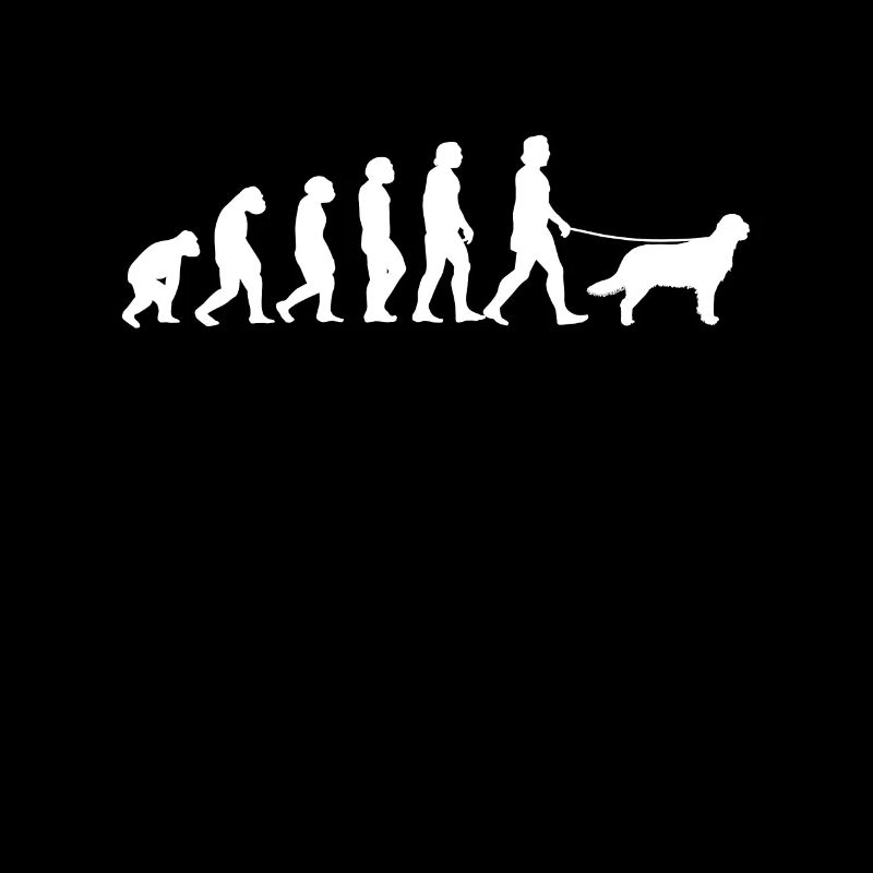 Flat Coated Retriever Evolution Cadeau