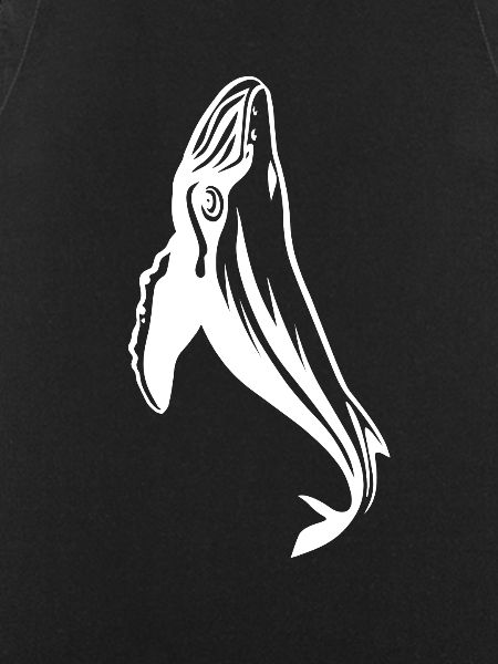 humpback whale