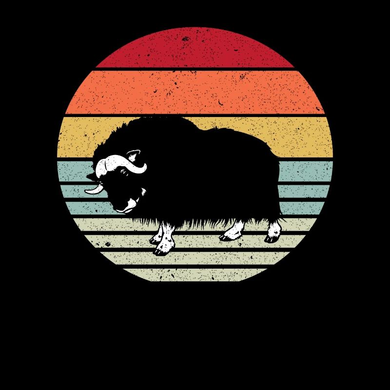 musk ox