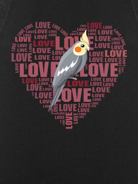Nymph Parakeet Love Bird