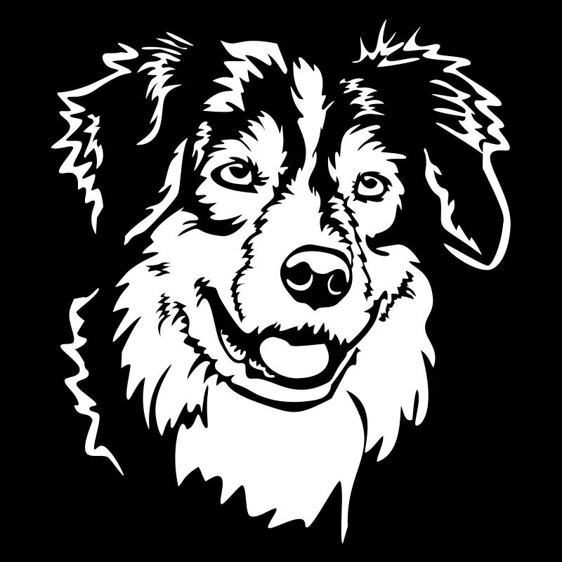 Australian Shepherd Kopf "Black Edition"