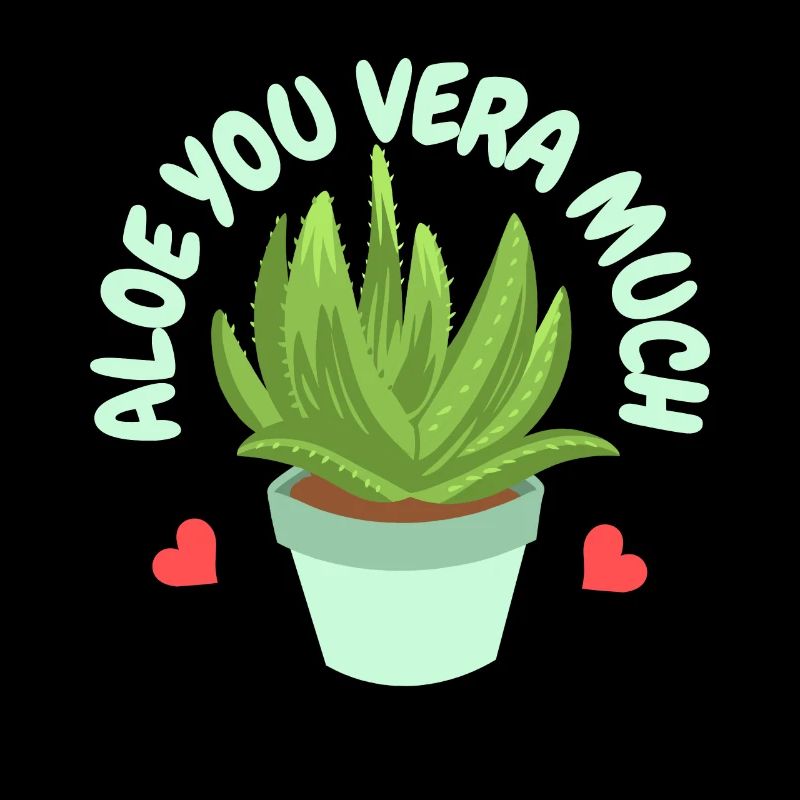 Aloe Vera Succkulente