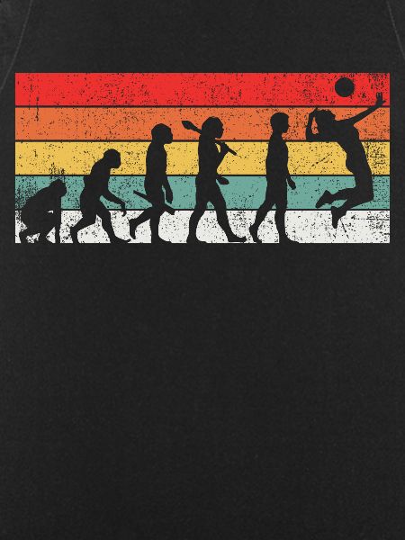 Volleyball Evolution