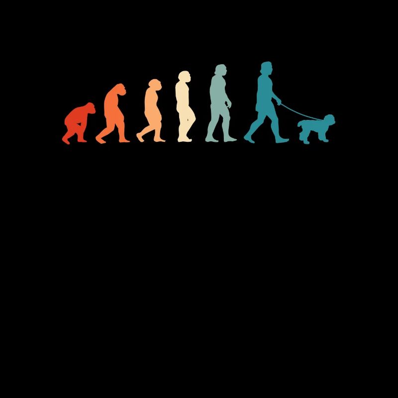 Labradoodle Evolution Australien Goldendoodle