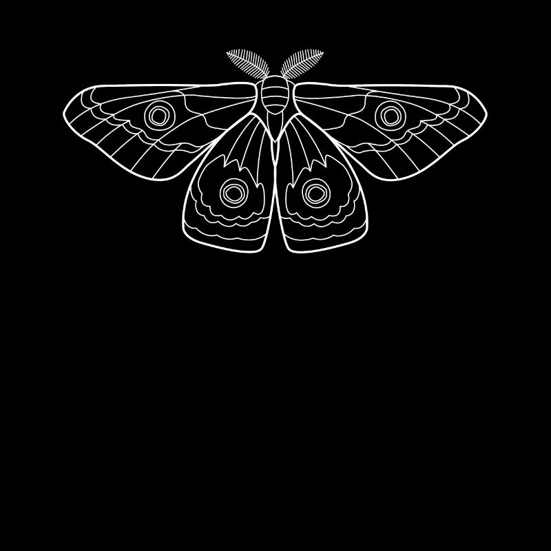 Moth Moth Butterfly Insects Gift