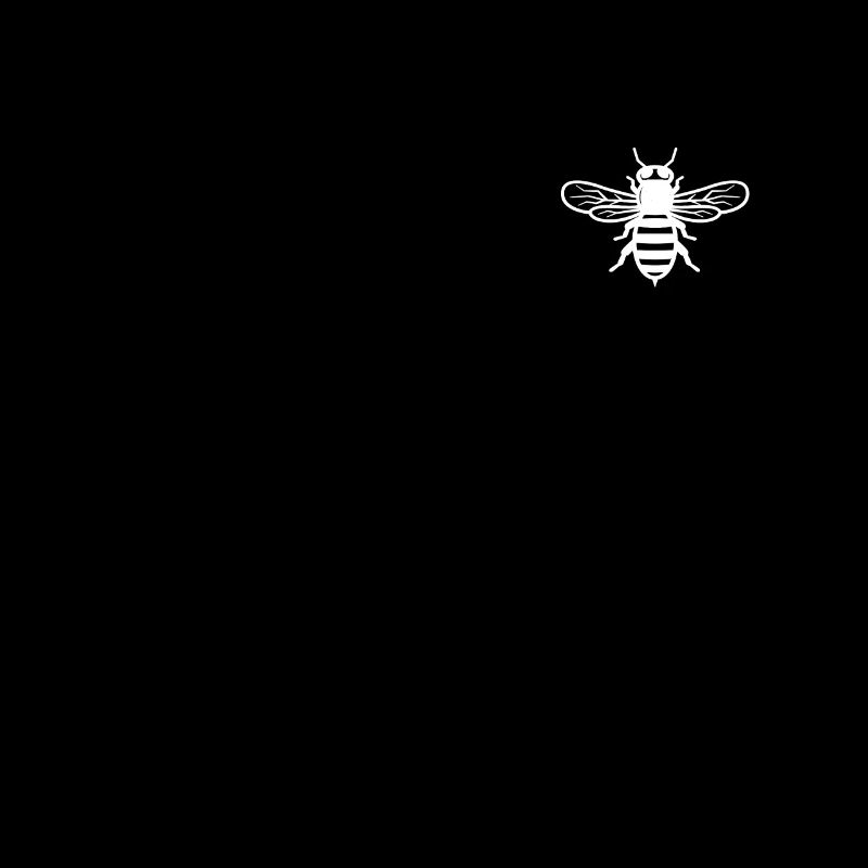 Bees Beekeepers Bees Queen Honey bees Beekeeping
