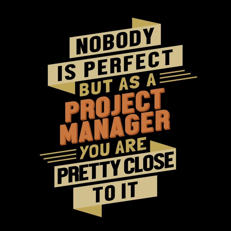 Project Manager close to Perfect IT-Projektleiter