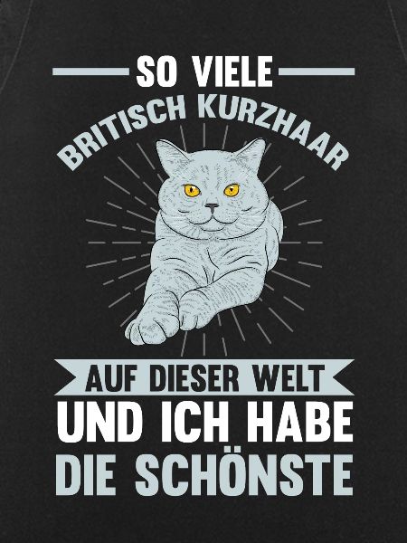 Katzen Britisch Kurzhaar