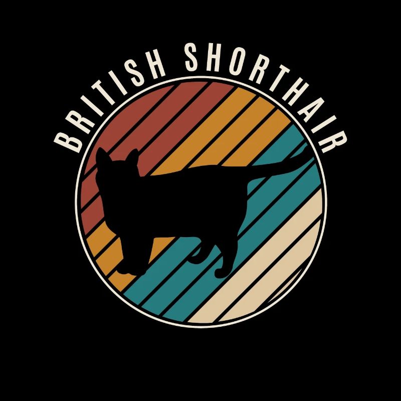 British Shorthair BKH Chat Chat Chat
