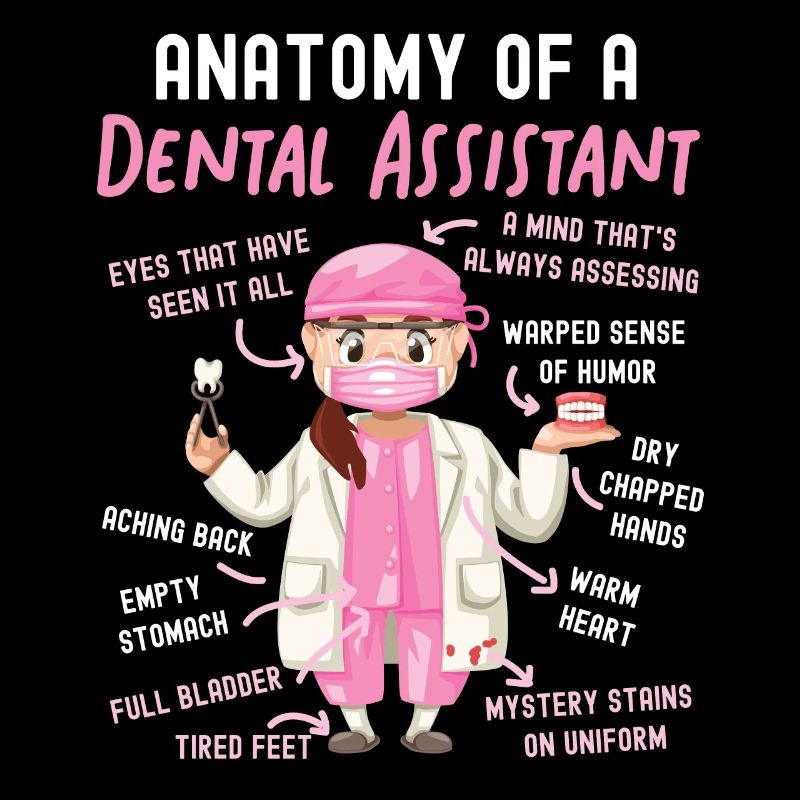 Assistant dentaire Anatomie Anatomie
