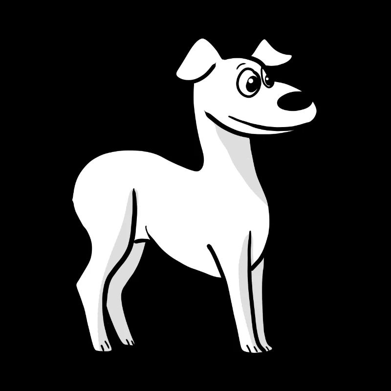 Whippet
