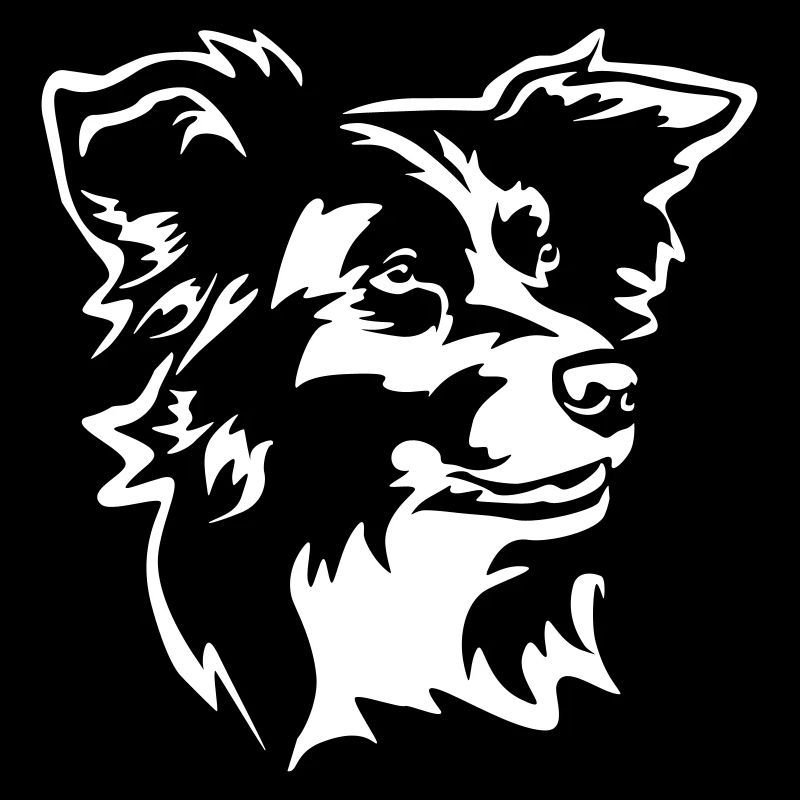 Border Collie Head « Black Edition »