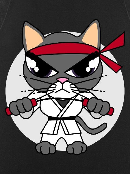 Karate Cat