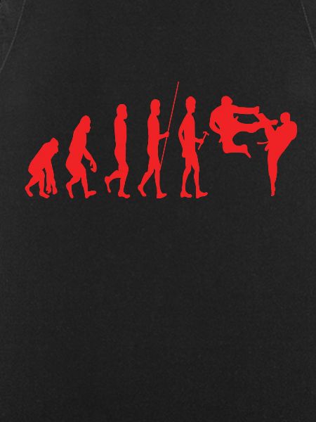 Karate Evolution