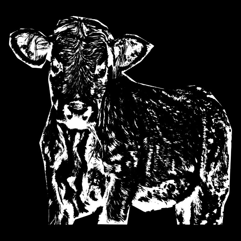 drôle vache cadeau fermier