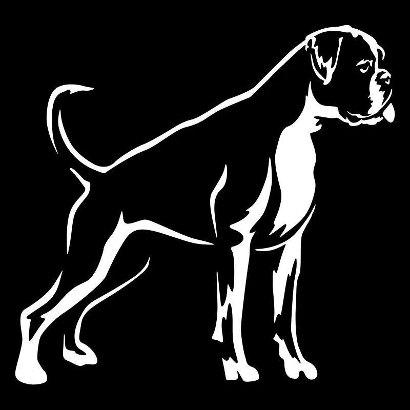 Boxer « Black Edition »