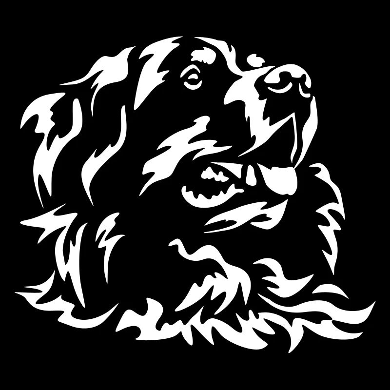 Tête de bouvier bernois « Black Edition »