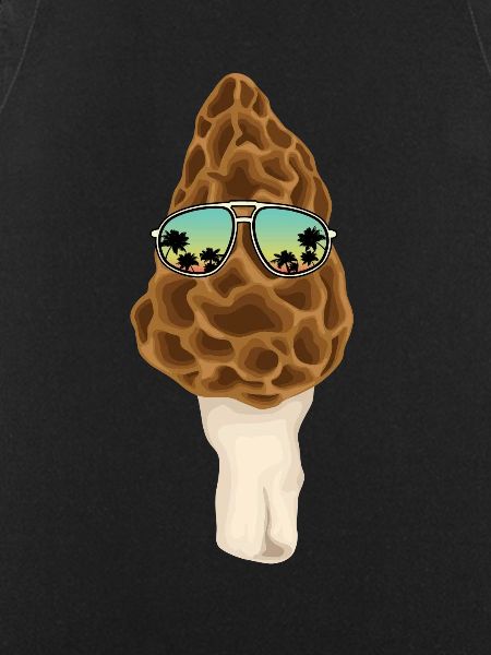 Morel Sunglasses