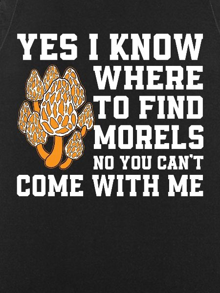 Morels Mushroom Picker