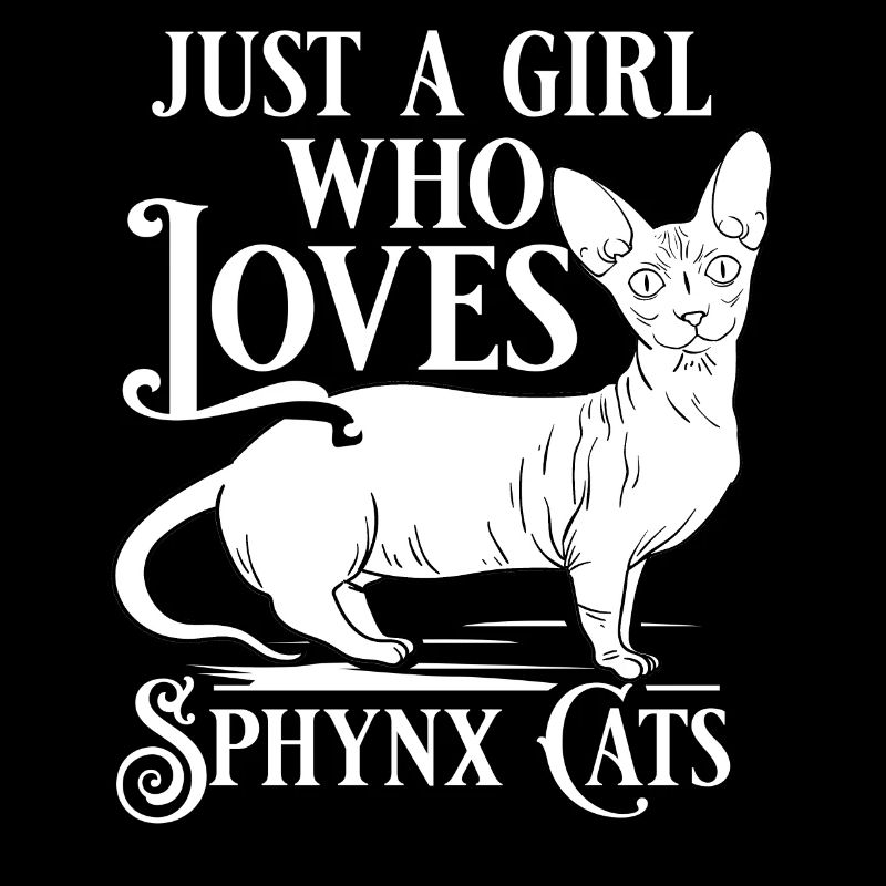 Sphynx Chat Sphinx Chaton sans poils Egypte
