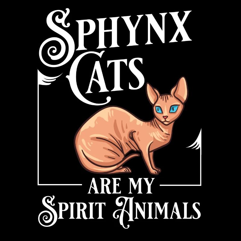 Sphynx Chat Sphinx Chaton sans poils Egypte