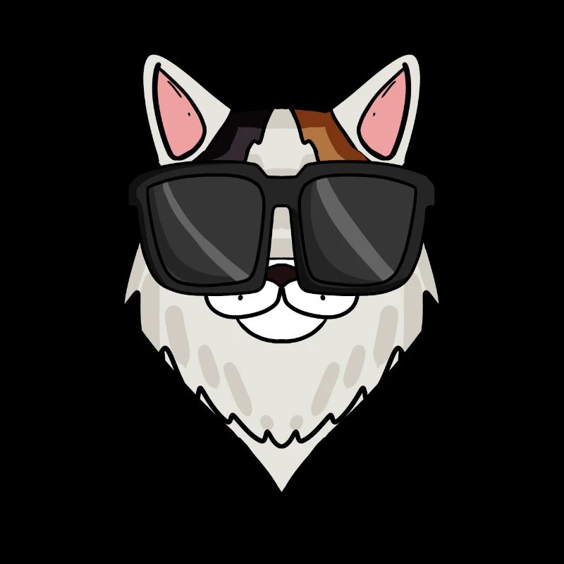 Chat van turc avec lunettes de soleil