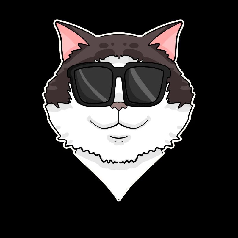 Ragdoll Cat