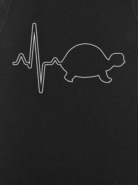 Turtle Heartbeat