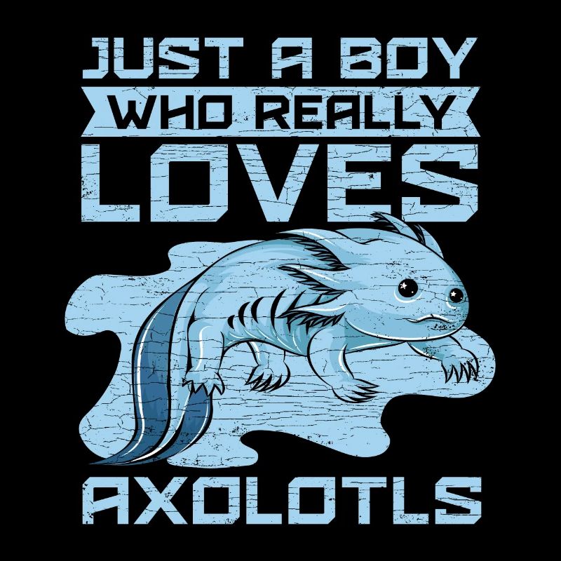 Axolotl Jungs Geschenk