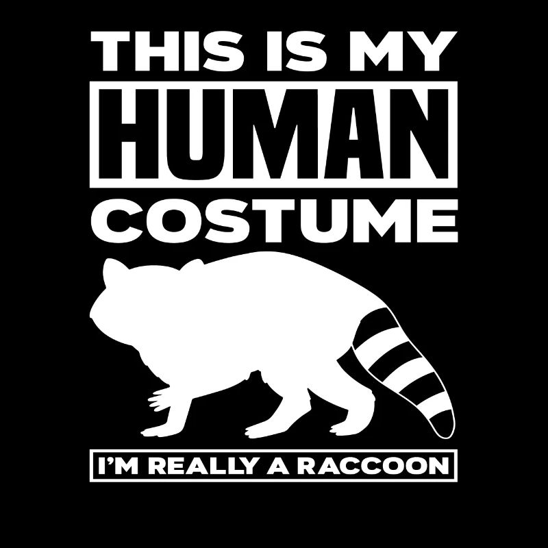 Costume de raton laveur