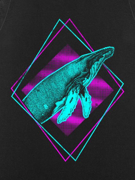 Humpback whale