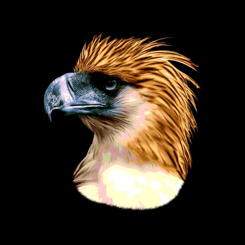 Aigle des singes