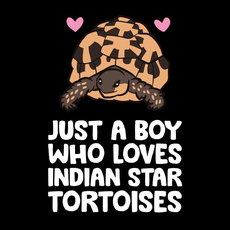Nur ein Junge, der indische Sternschildkröten
