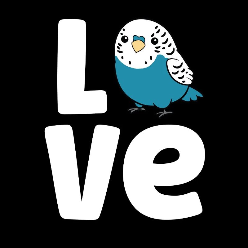 Perruche Oiseau Amour Perruche Mignonne