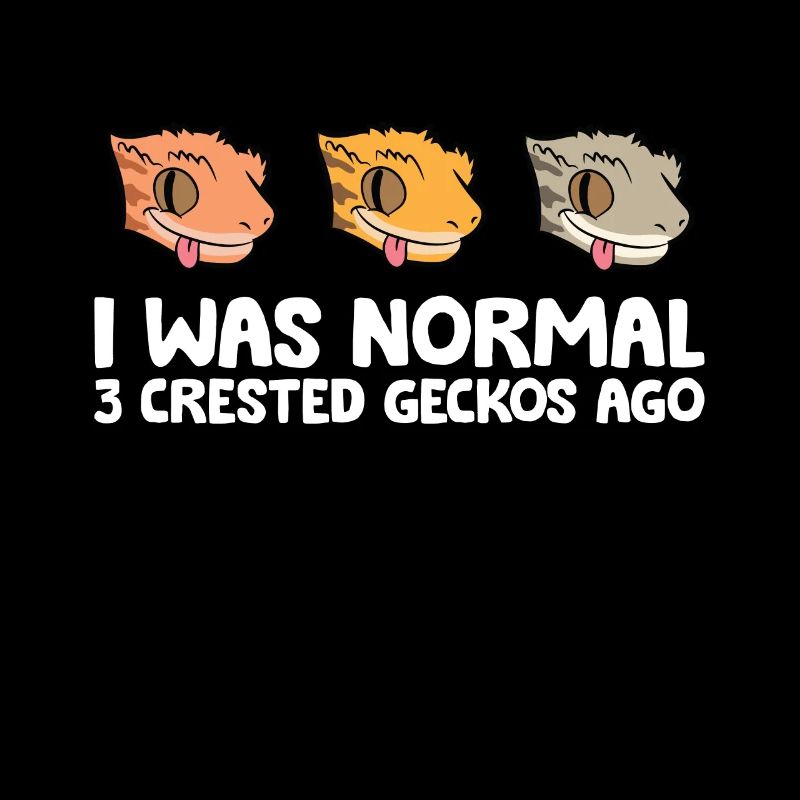 Crested Gecko Keeper Ich war normal 3 Crested