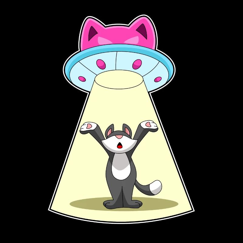 Vaisseau spatial pour chat