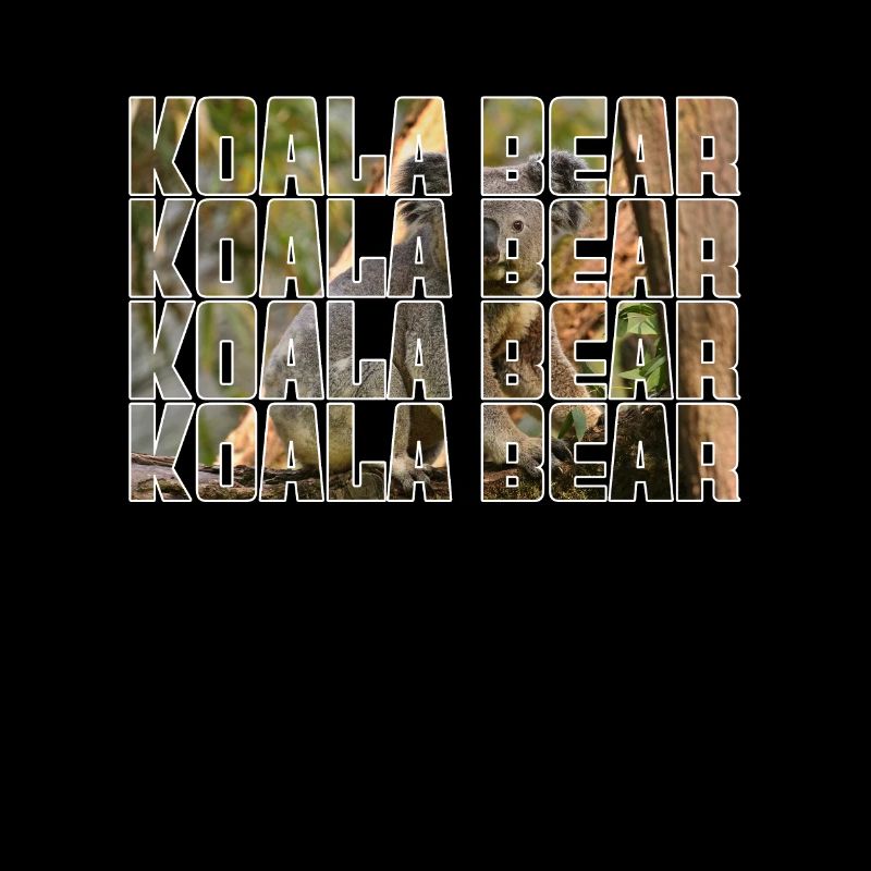 Koala Ours