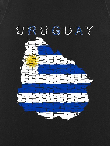 Uruguay Map Flag