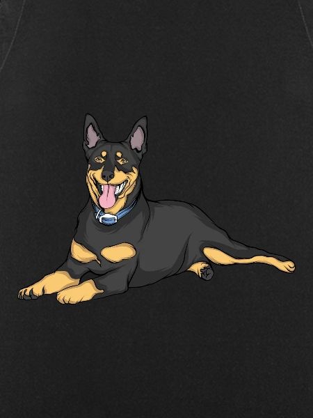Doberman Dog
