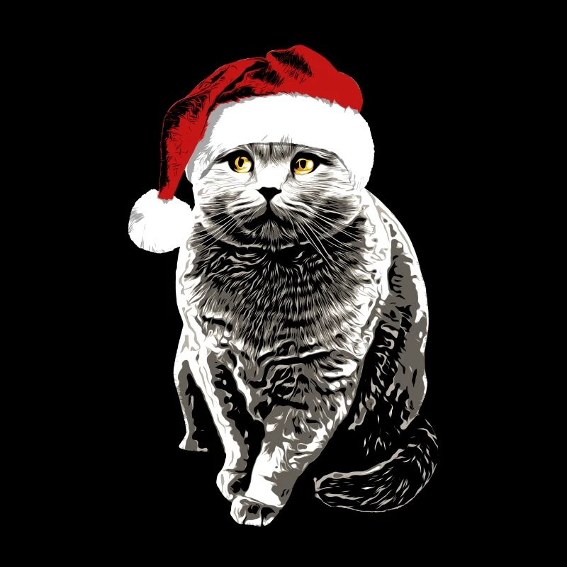 Britisch Kurzhaar Katze mit Weihnachtsmütze xmas