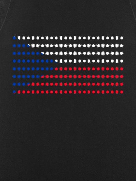 Czech Republic Flag