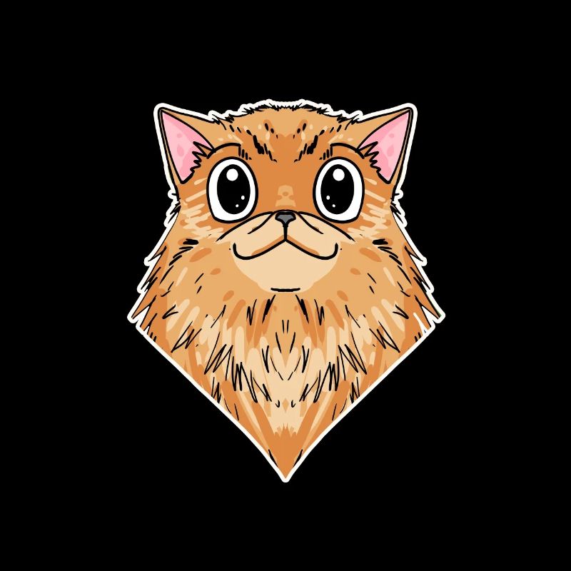 Chat persan Race de chat Chat