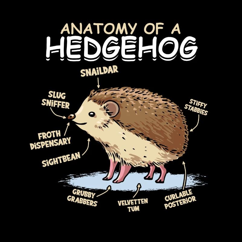 Hedgehog owners Hedgehogs lover cute animal