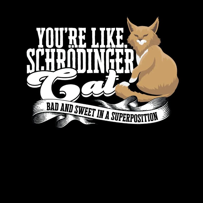 Superposition du chat de Schrödinger Physique quantique