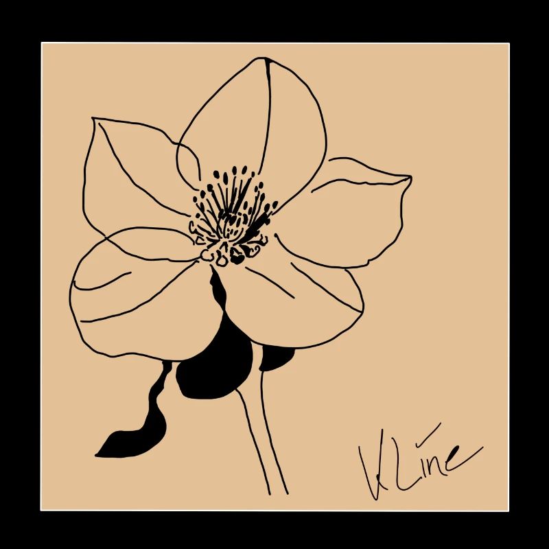 Affiche Rose de Noël