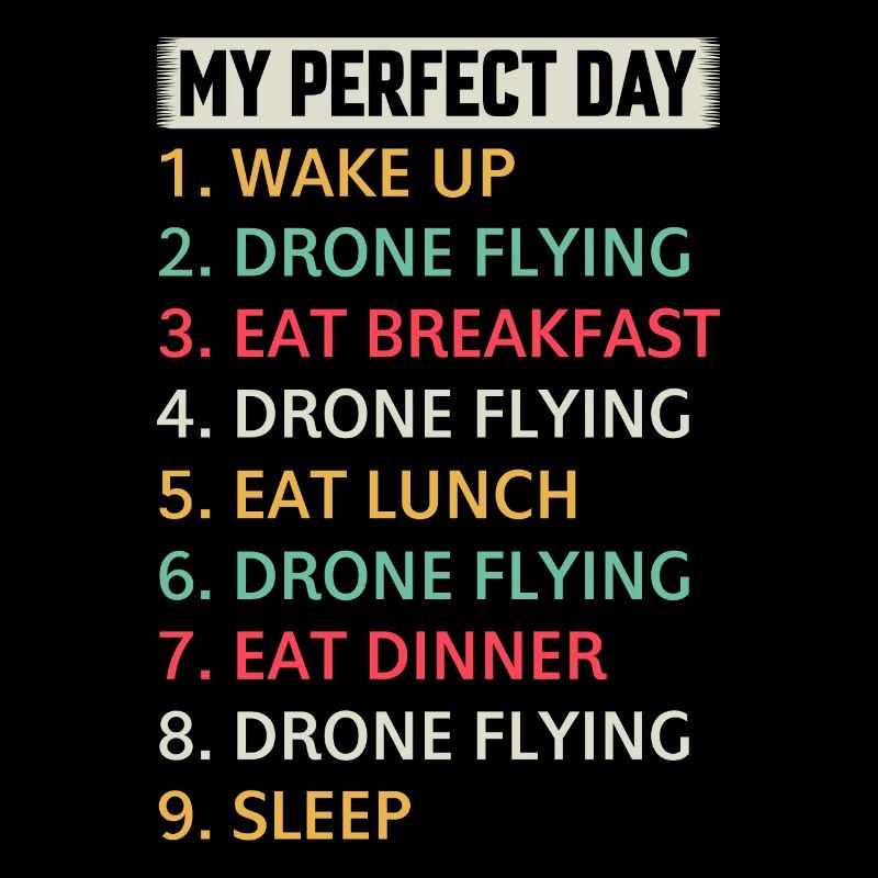 Quadcopter Drone Pilot - My Perfect Day Drone Flyi