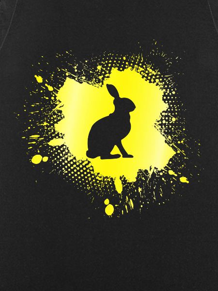 Hase