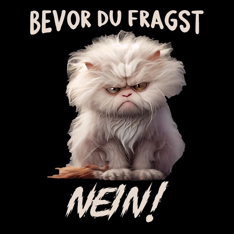 Bevor du fragst Nein