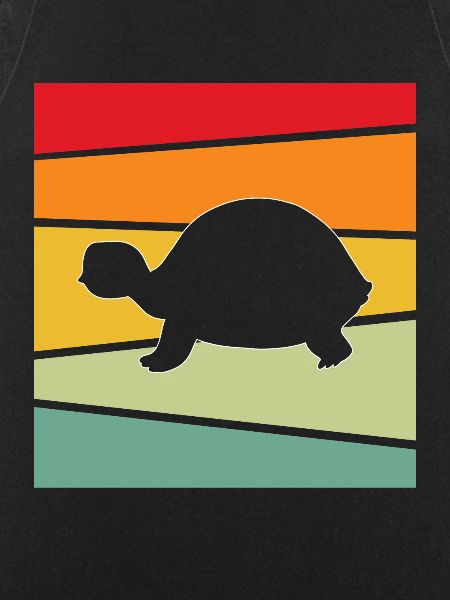 Turtle Retro